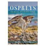 Ospreys - Alan Poole