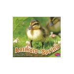 Animals in Spring - John Krenz