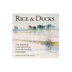 Rice & Ducks: The Surprising Convergence That Saved the Carolina Lowcountry - Virginia Beach