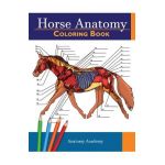 Horse Anatomy Coloring Book: Incredibly Detailed Self-Test Equine Anatomy Color workbook - Perfect Gift for Veterinary Students, Horse Lovers & Adu - Anatomy Academy