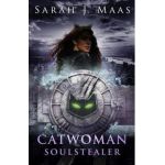 Catwoman: Soulstealer (DC Icons series)
