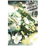 Is It Wrong to Try to Pick Up Girls in a Dungeon?, Vol. 13 (