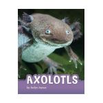 Axolotls - Jaclyn Jaycox