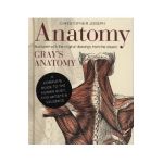 Anatomy