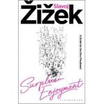 Surplus-Enjoyment: A Guide for the Non-Perplexed - Slavoj Zizek