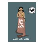 A Snake Falls to Earth - Darcie Little Badger