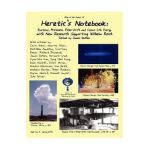 Heretic's Notebook: Emotions, Protocells, Ether-Drift and Cosmic Life-Energy, with New Research Supporting Wilhelm Reich - James Demeo