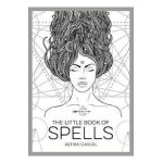 Little Book of Spells
