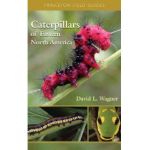 Caterpillars of Eastern North America: A Guide to Identification and Natural History - David L. Wagner