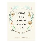 What the Amish Teach Us: Plain Living in a Busy World - Donald B. Kraybill
