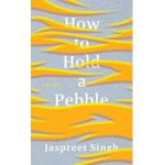 How to Hold a Pebble - Jaspreet Singh