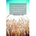 Due Season Bulletin (Pkg 100) General Worship - Broadman Church Supplies Staff