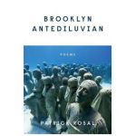 Brooklyn Antediluvian: Poems - Patrick Rosal