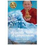 A Gentle Rain of Compassion - David R. Shlim