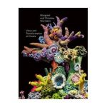 Christine and Margaret Wertheim: Value and Transformation of Corals - Christine Wertheim
