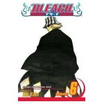 Bleach, Vol. 6, 6 - Tite Kubo
