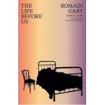 The Life Before Us - Romain Gary