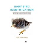 Baby Bird Identification: A North American Guide - Linda Tuttle-adams