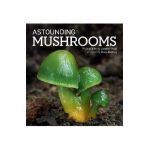 Astounding Mushrooms - Jaroslav Maly