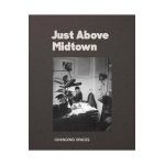 Just Above Midtown: Changing Spaces - Thomas J. Lax