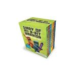 Diary of an 8-Bit Warrior Diamond Box Set - Cube Kid