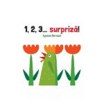 1,2,3... surpriza! - Agnese Baruzzi