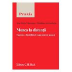Munca la distanta - Ana-Maria Vlasceanu, Madalina-Ani Iordache