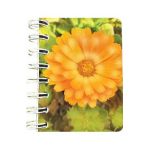 Carnet cu spirala: Floare portocalie. Neliniat