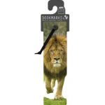 Semn de carte 3D: African Lion