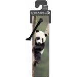 Semn de carte 3D: Giant Panda
