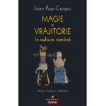 eBook Magie si vrajitorie in cultura romana. Istorie, literatura, mentalitati - Ioan Pop-Curseu
