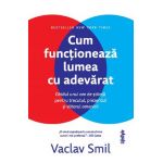 eBook Cum functioneaza lumea cu adevarat - Vaclav Smil