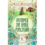 eBook Fantomele din Hanul pungasilor - Kate Milford