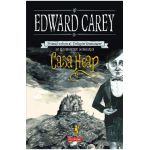 eBook Casa Heap. Primul volum al Trilogiei Iremonger - Edward Carey