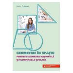 Geometrie in spatiu pentru Evaluarea Nationala si olimpiadele scolare - Sorin Peligrad