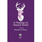 A Meeting on Hazard Street - Andrea H. Hedes
