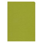 Agenda nedatata eco. Verde deschis