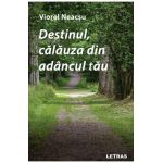 eBook Destinul, calauza din adancul tau - Viorel Neacsu