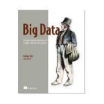 Big Data:Principles and best practices of scalable realtime - Nathan Marz