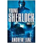 Young Sherlock Holmes 6: Knife Edge