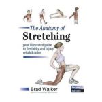 Anatomy of Stretching