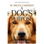 Dog's Purpose