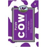 Purple Cow - Seth Godin