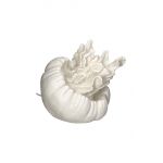 home & lifestyle veioza Jellyfish