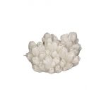 home & lifestyle veioza Coral Lotus