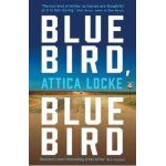 Bluebird, Bluebird