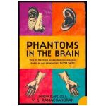 Phantoms in the Brain