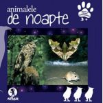 Animalele de noapte | 