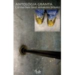 Antologia Granta. Cei mai buni tineri romancieri britanici | 