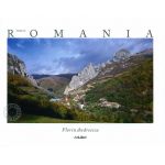 Made in Romania - text in limba romana | Florin Andreescu, Mariana Pascaru